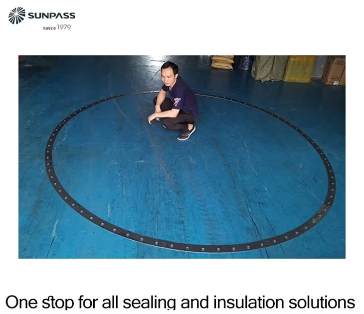 Graphite Gasket Products, Including Flexible Graphite Sealing Rings